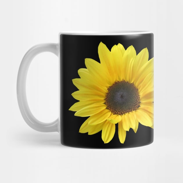 sunflower, sunflowers, bloom, floral by rh_naturestyles